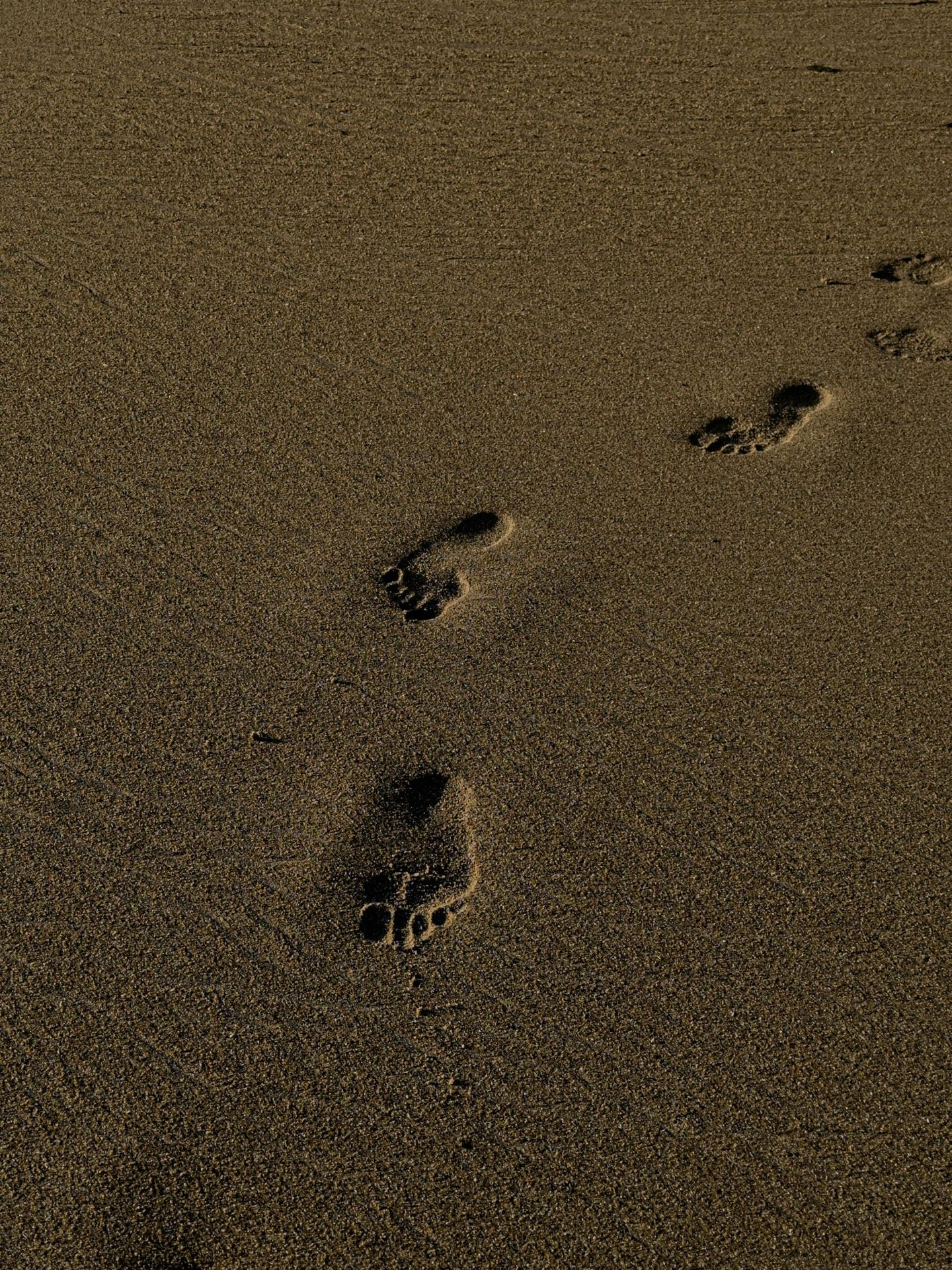 关于ai技术走入生活的实际应用,我们未曾触及的那些精神娱乐