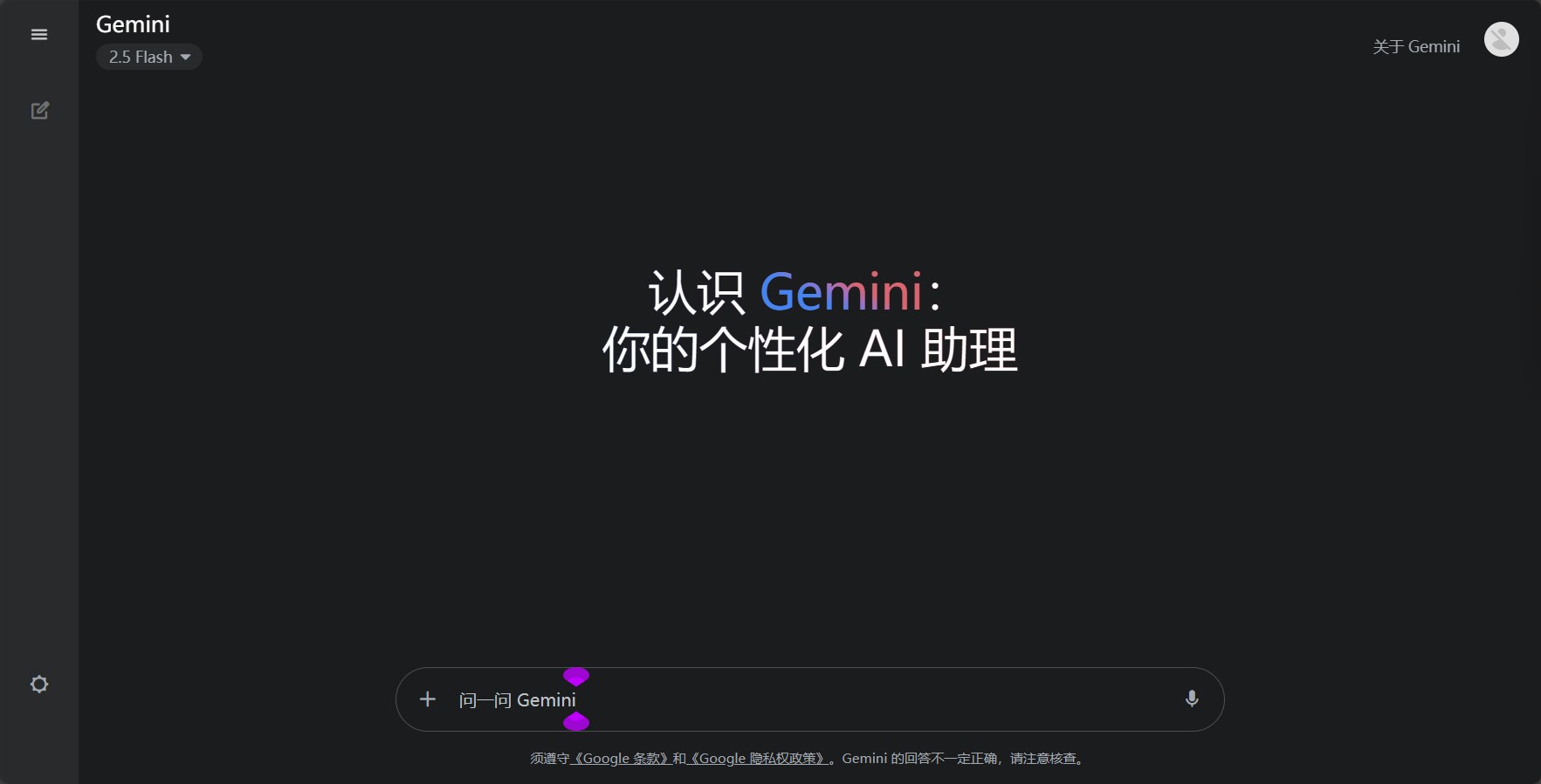 gemini使用界面