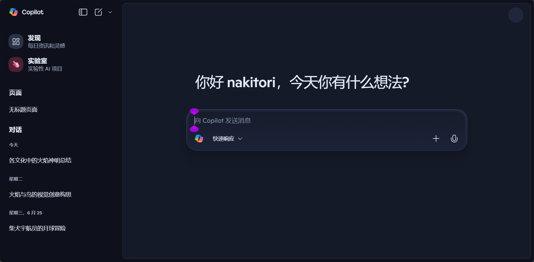 copilot主界面