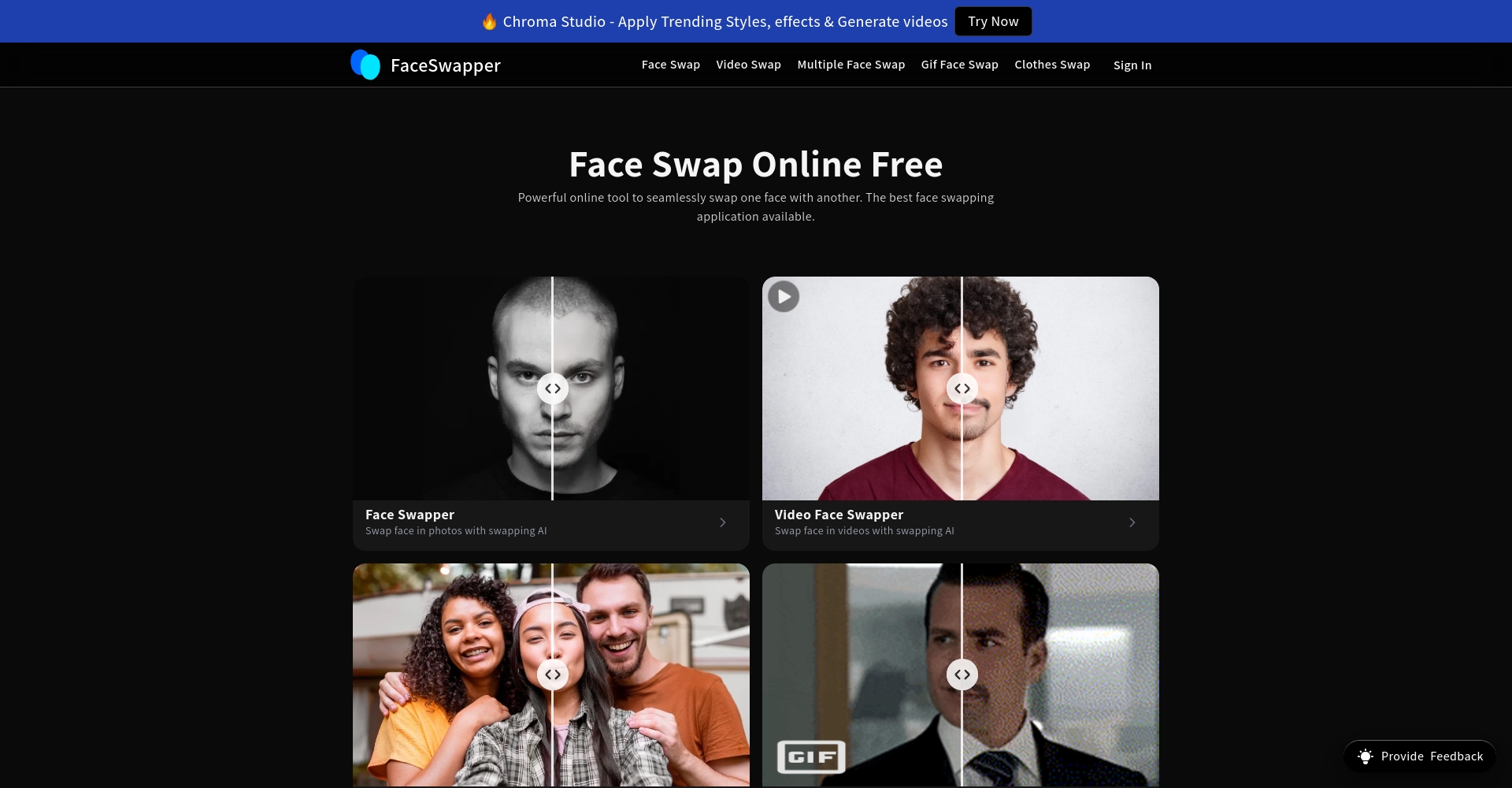 Faceswapper官网截图