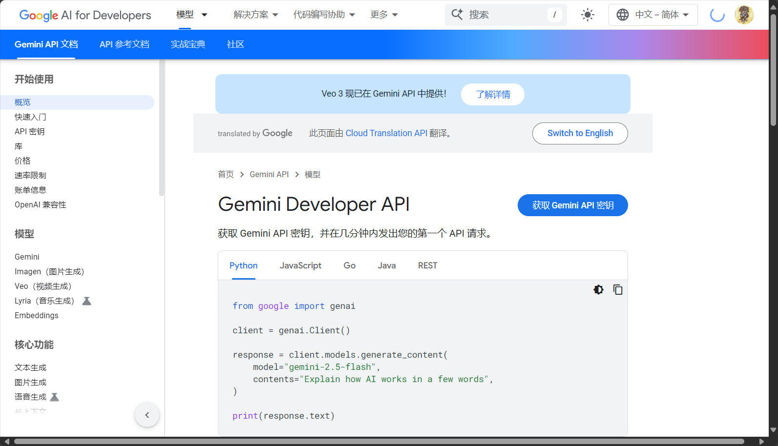 Gemini API官方介绍