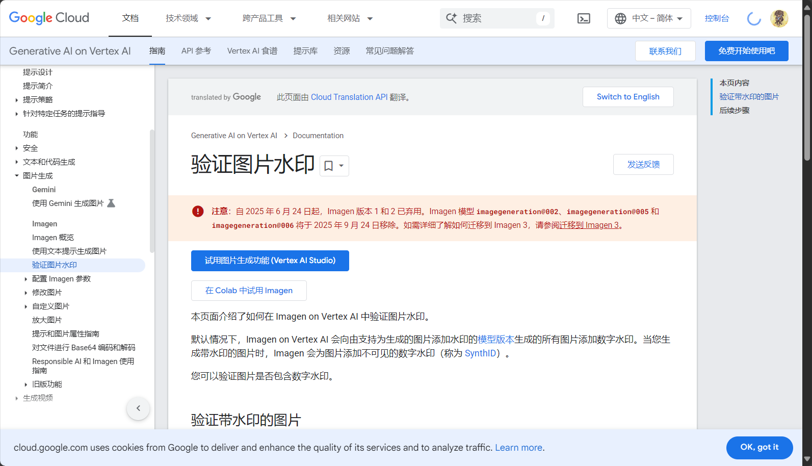 水印验证与安全策略