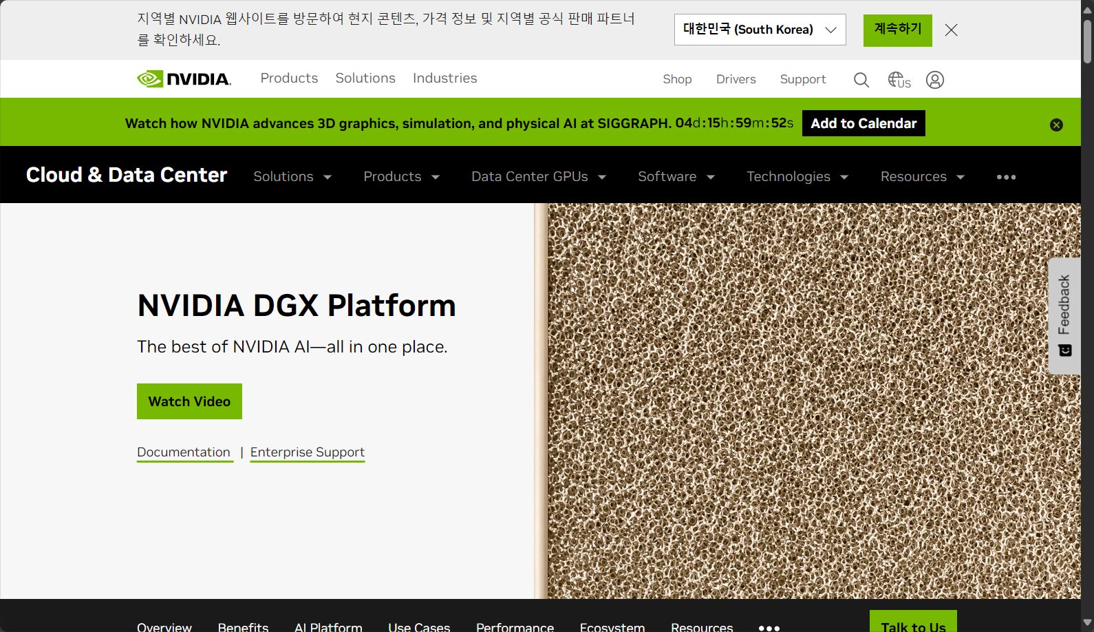 NVIDIA DGX