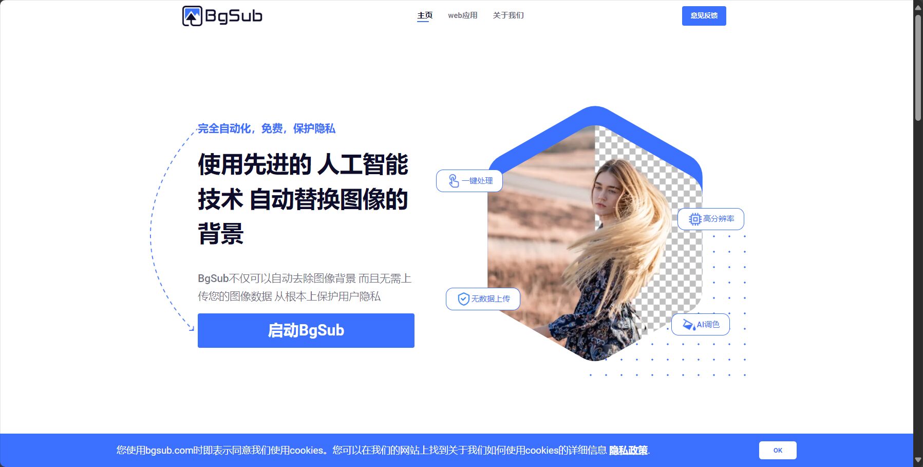 BgSub官网首页截图