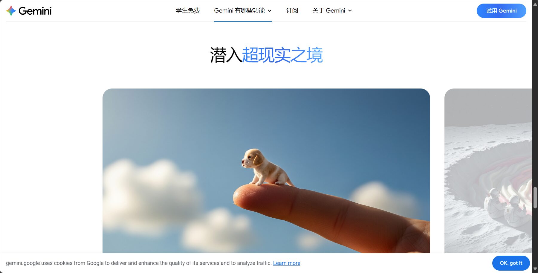 生成范例