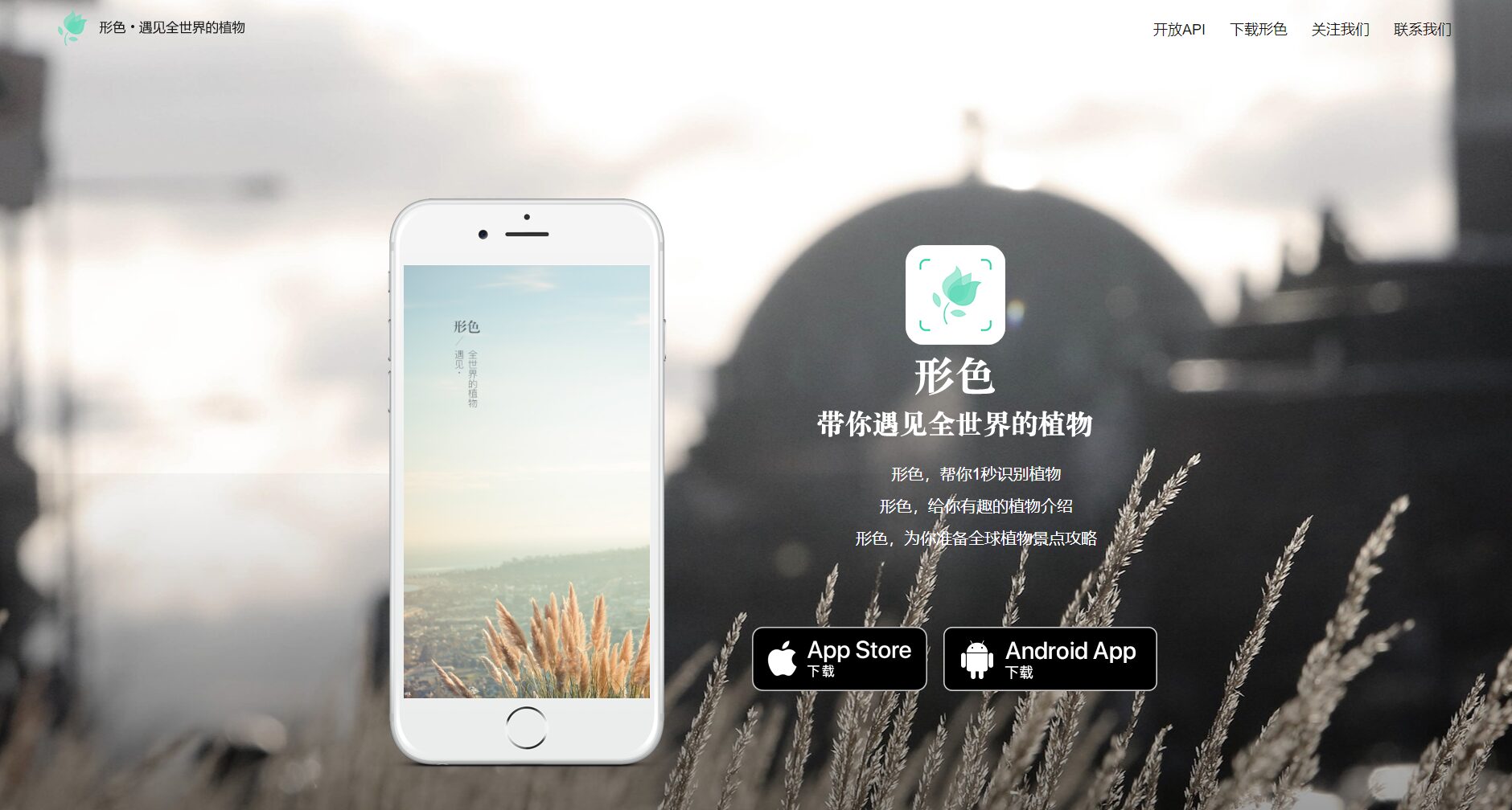 形色是什么?AI识花神器帮你秒速认出身边植物(新手完全指南)