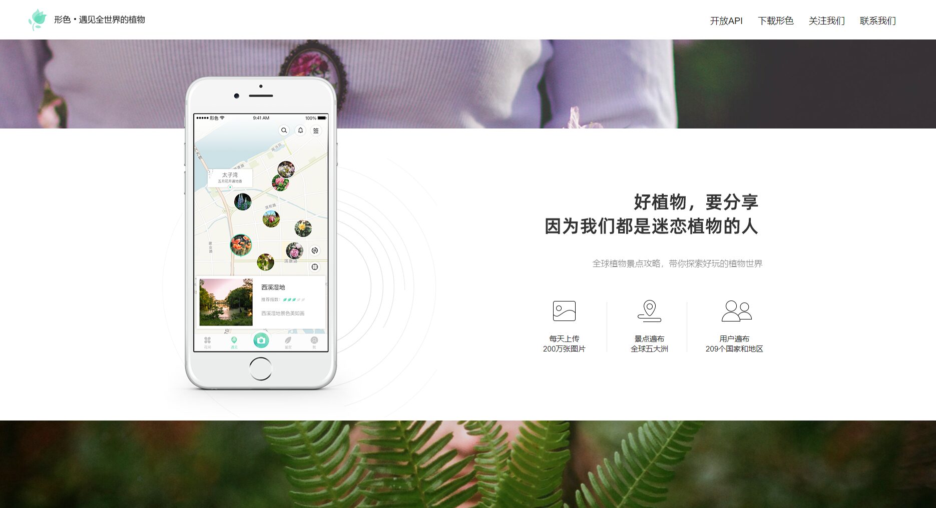 地图模式植物探索