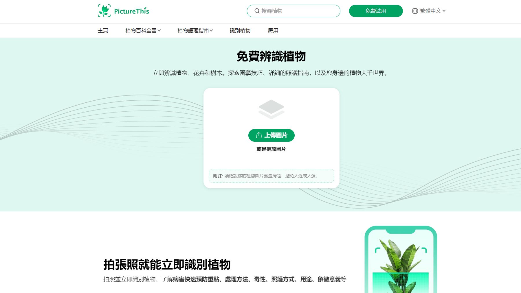 picture this官网截图