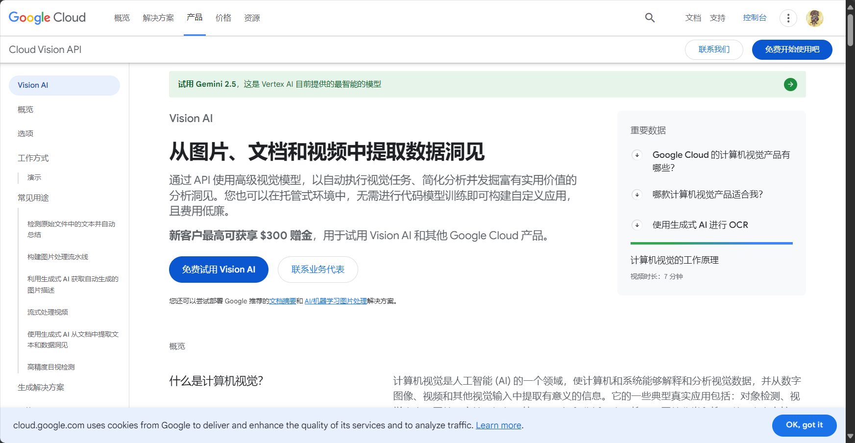 Google Vision OCR