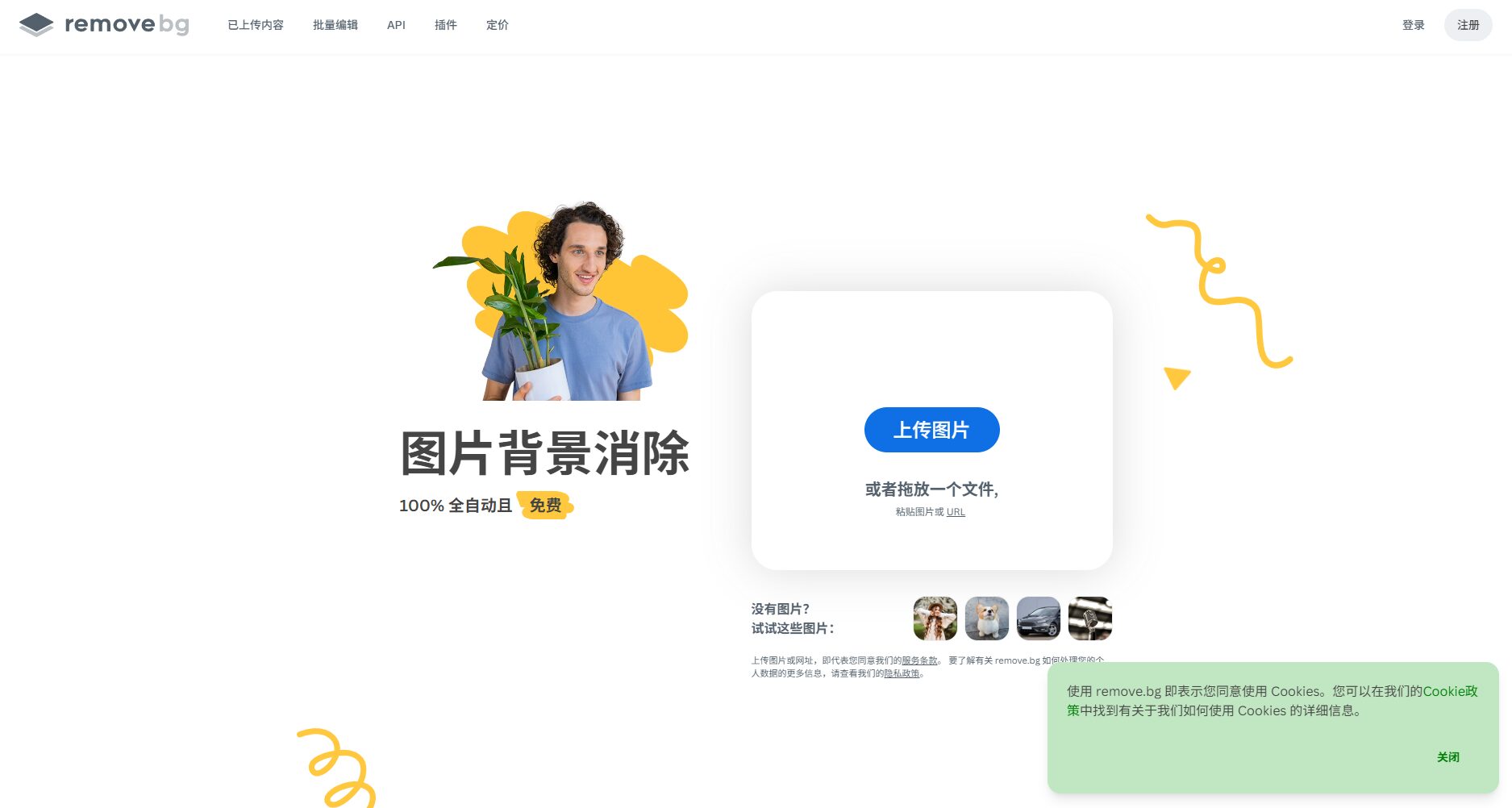 remove.bg 是什麼?專業背景移除與替換平台