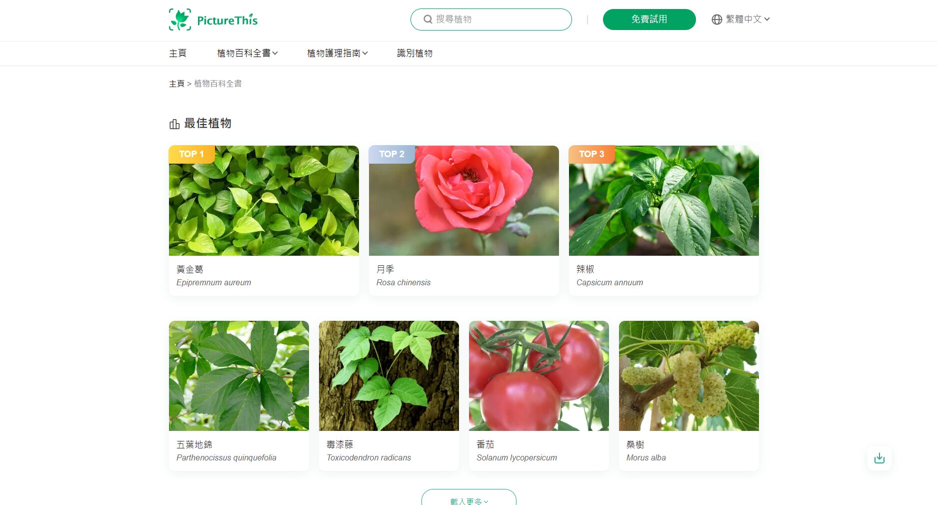 百科全书提供