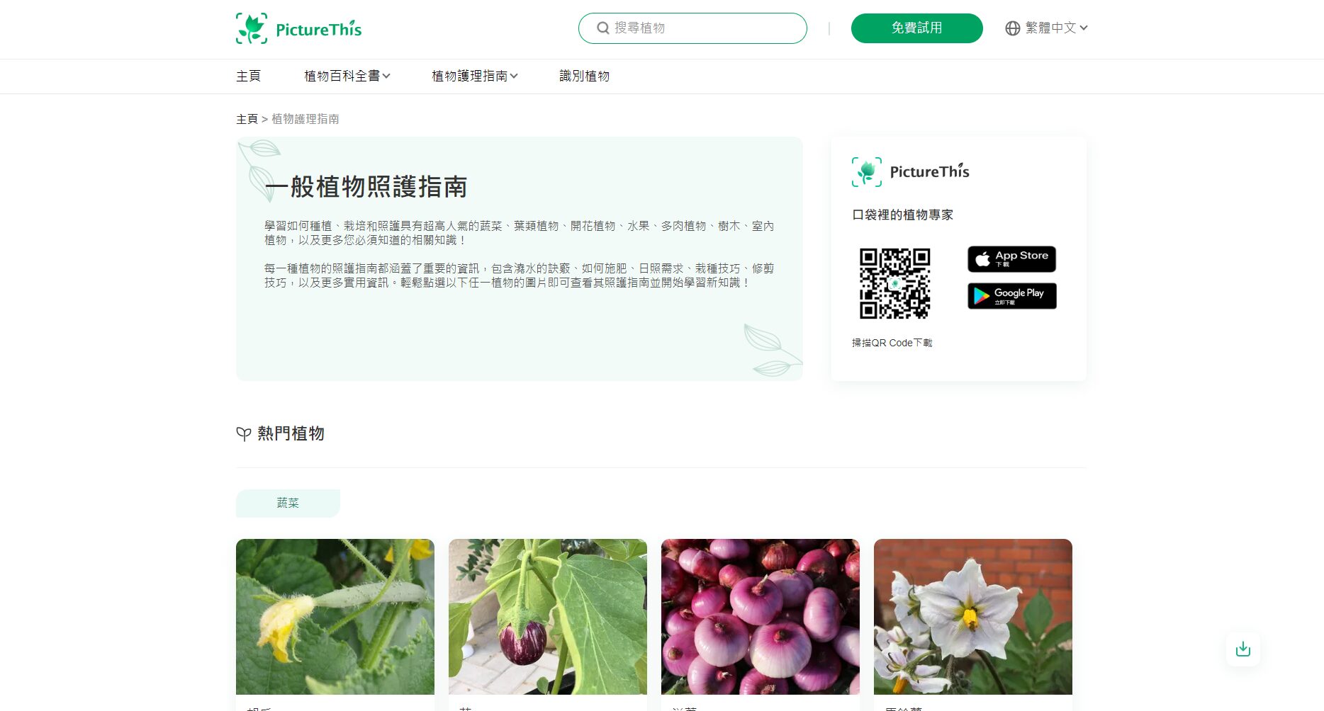 植物护理指南
