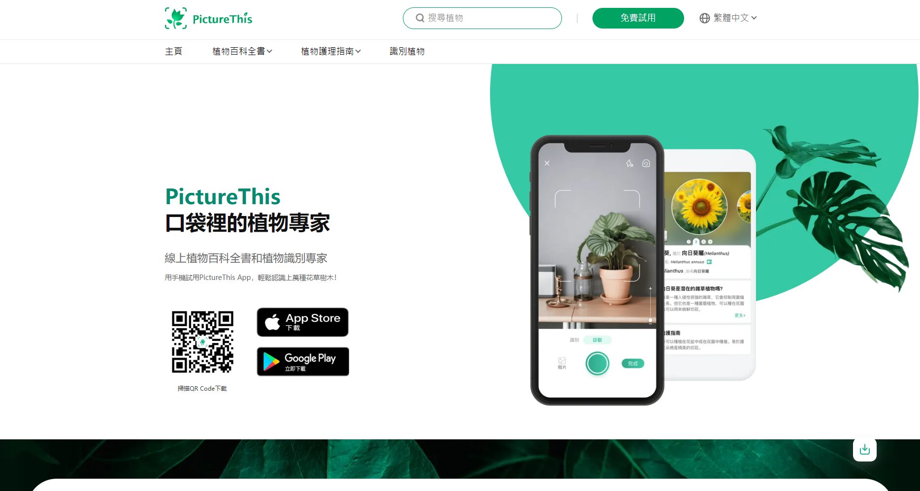 picturethis怎么用?新手快速识别植物的3个实用步骤(附常见问题与避坑指南)