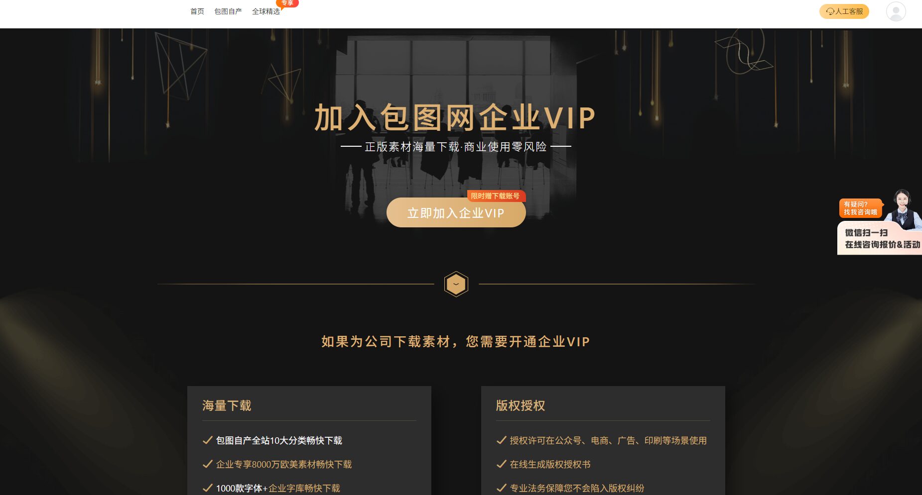 企业vip方案