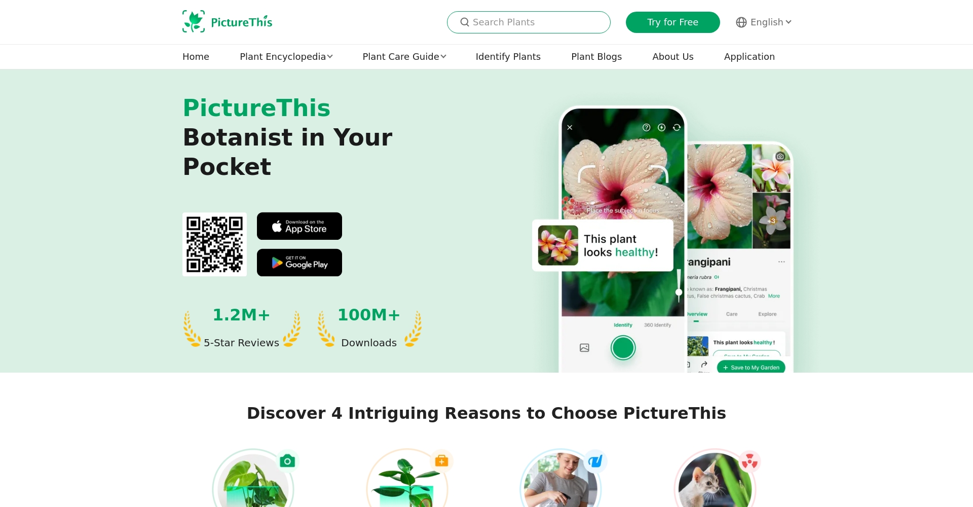 PictureThis 官网首页截图