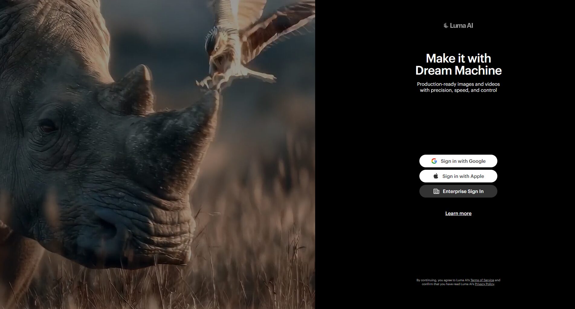 lumaai使用全攻略：新手如何利用lumaai高效生成AI视频内容？