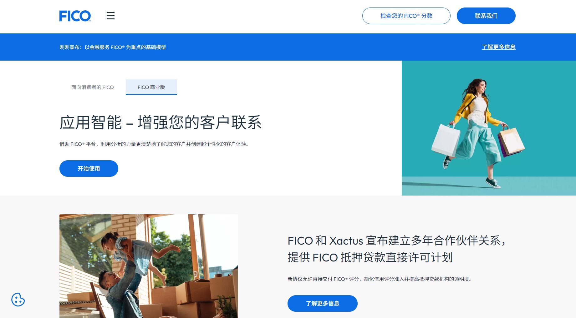 FICO Score AI系统