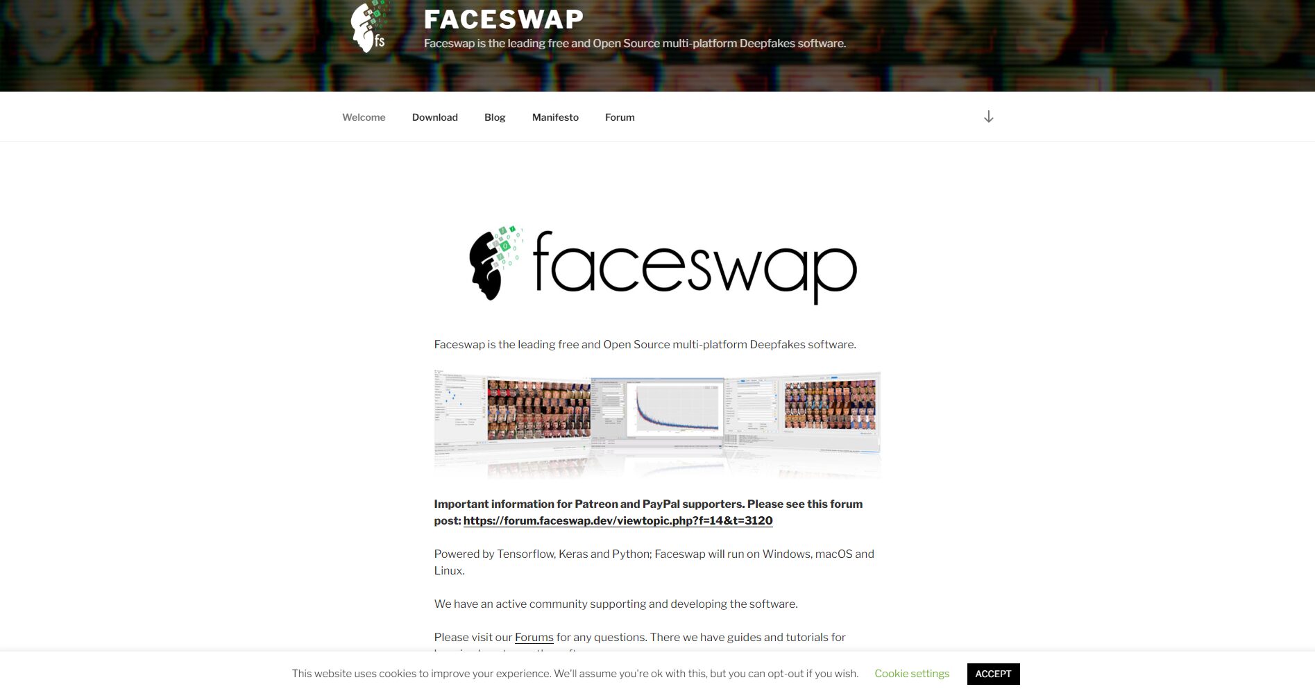 FaceSwap软件操作界面