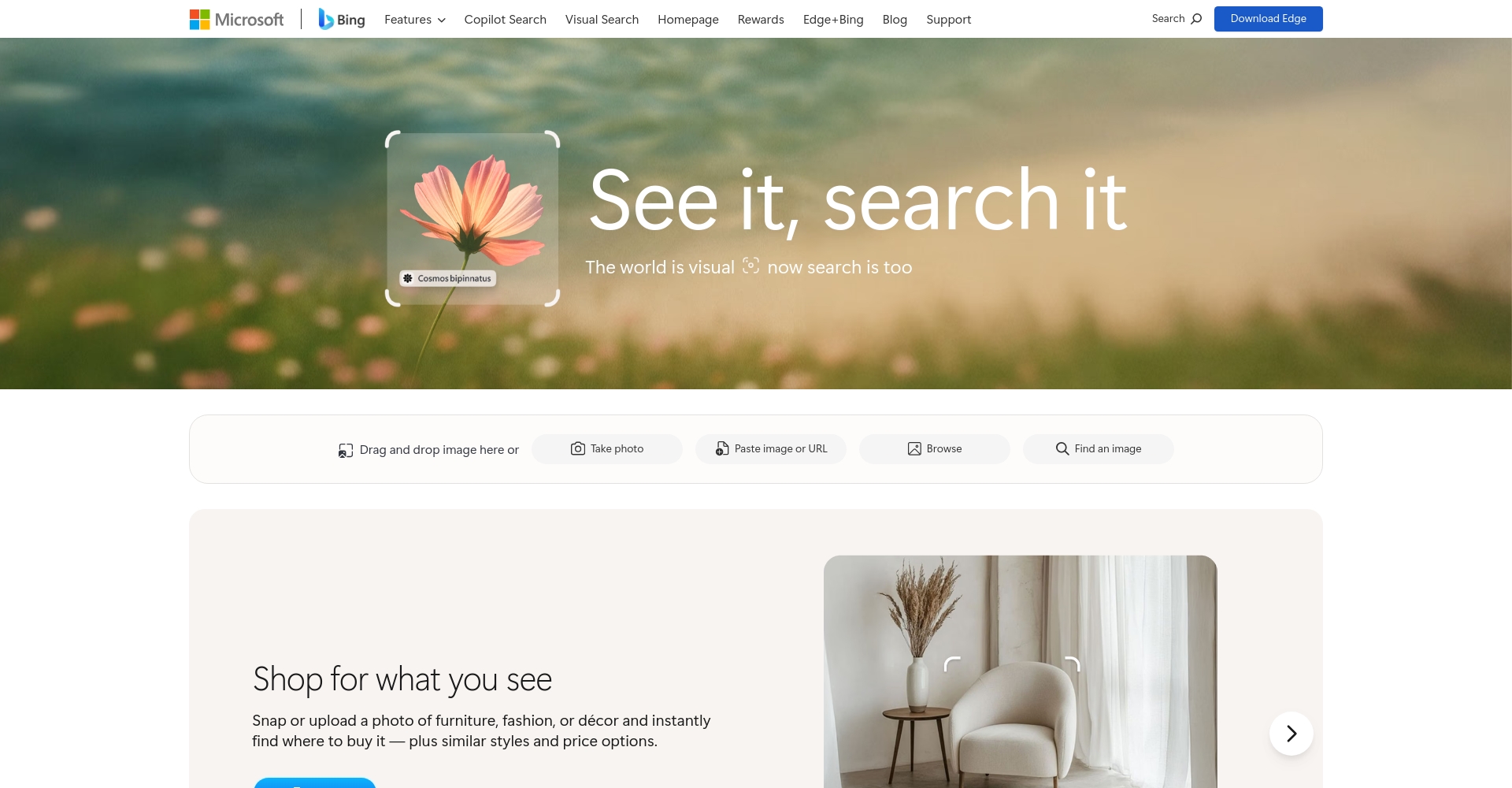 Bing Visual Search 搜索界面