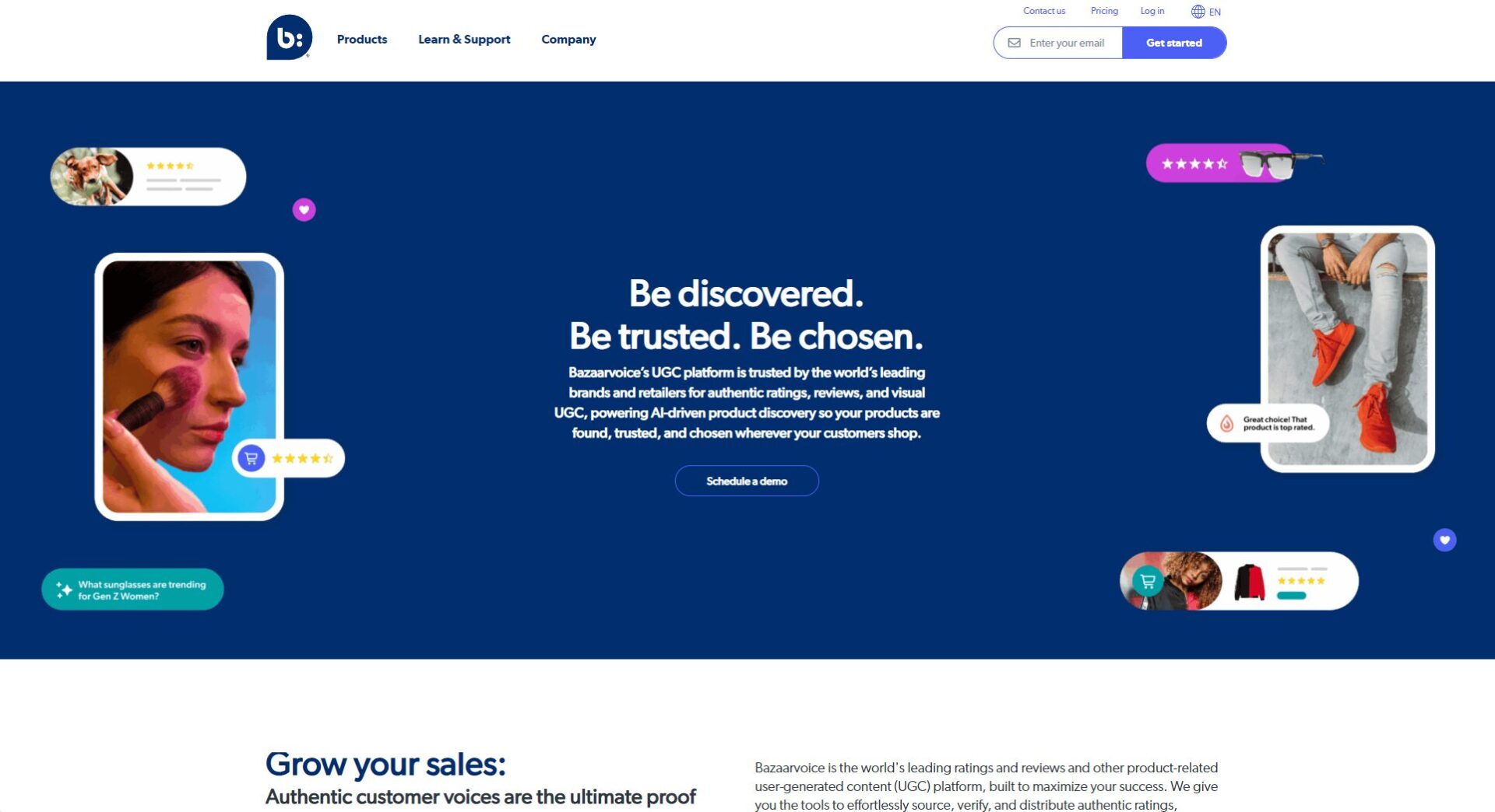 Bazaarvoice官网首页