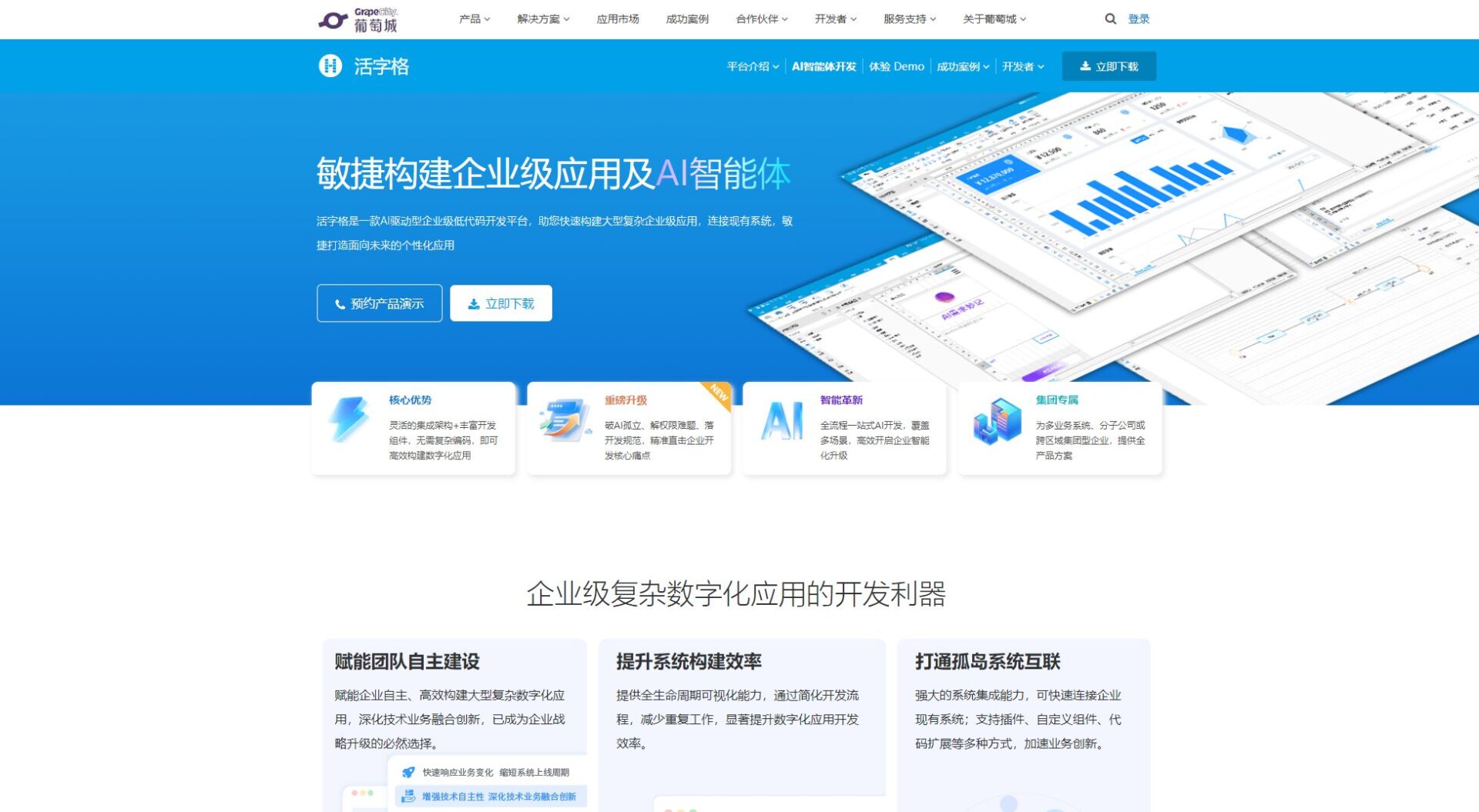 活字格产品界面