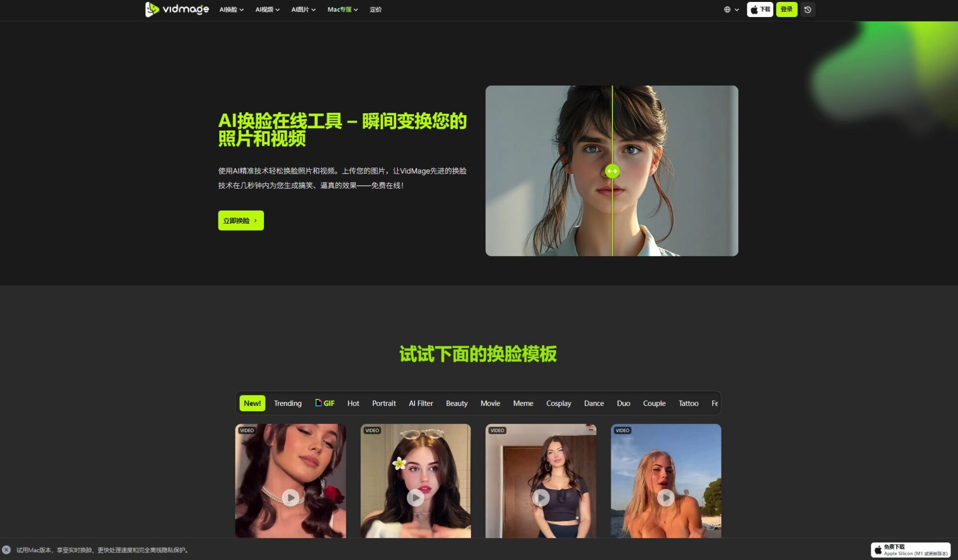 Vidmag AI多人视频换脸