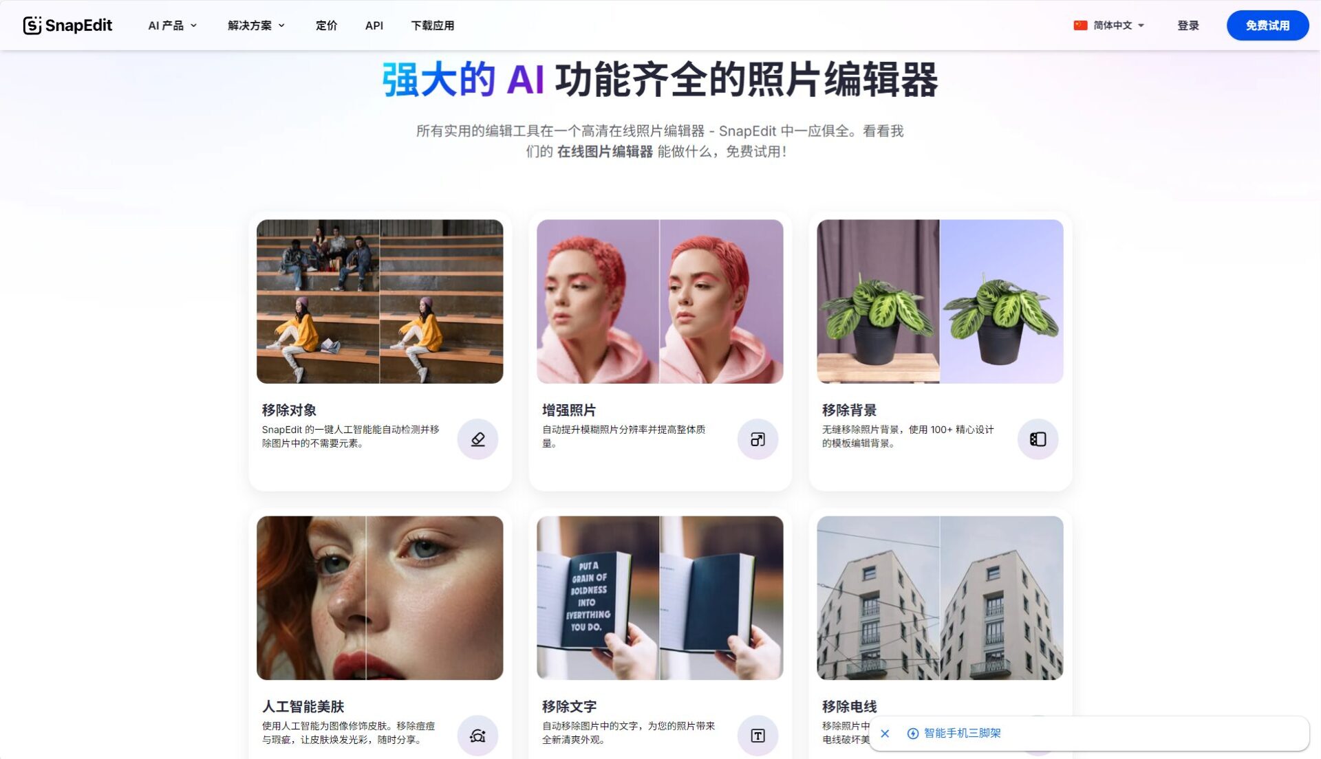 snapedit app详细介绍：2025年图片去除背景与瑕疵的最佳AI工具评测