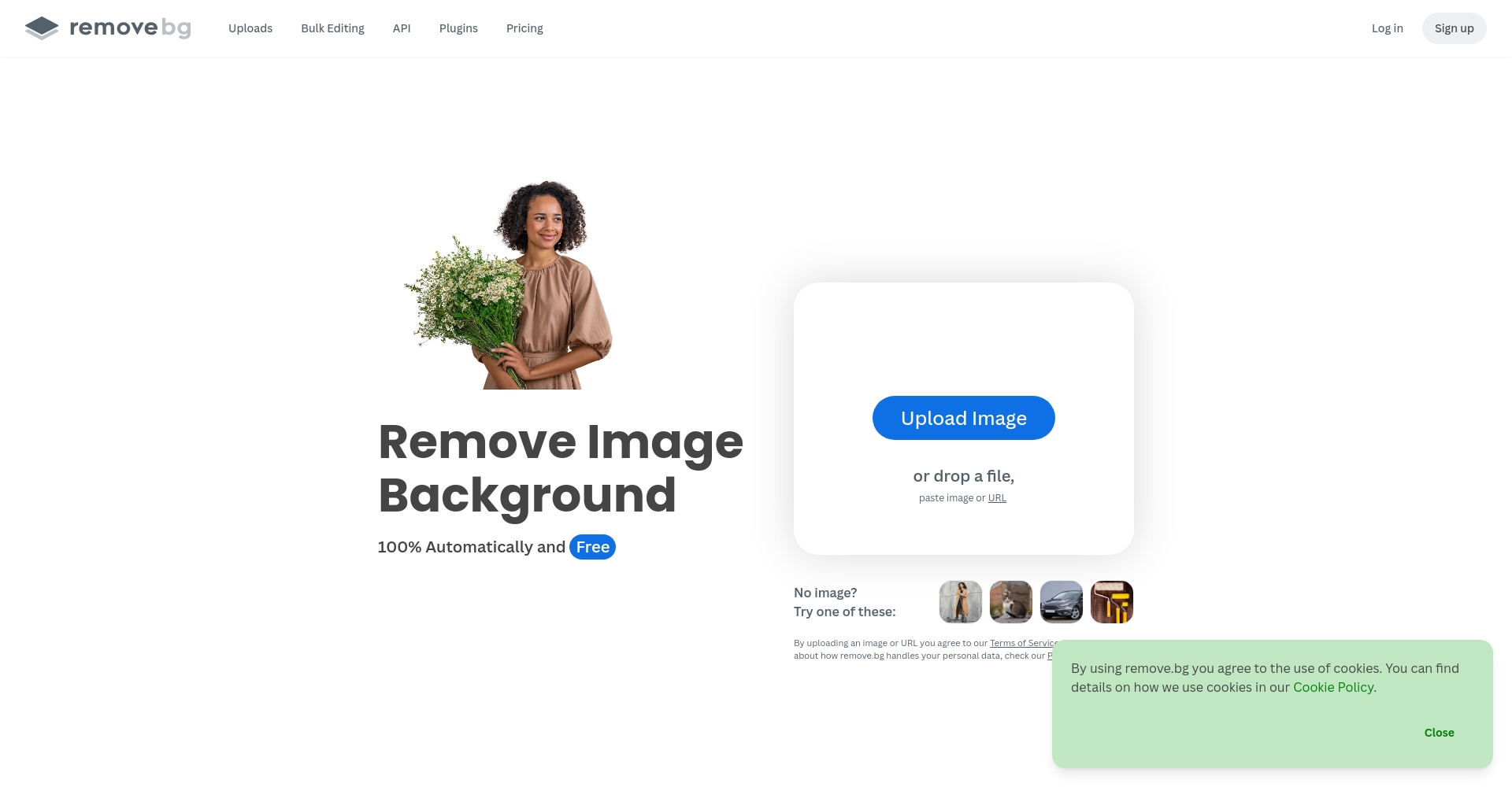 Remove.bg AI抠图展示图