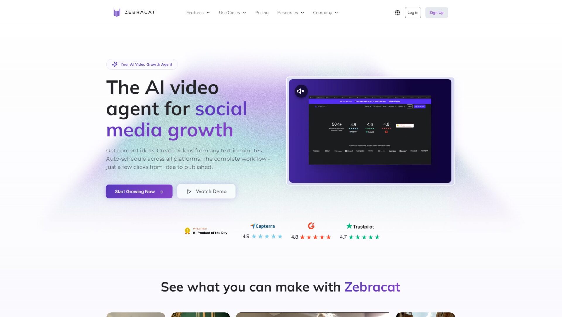 Zebracat官网首页