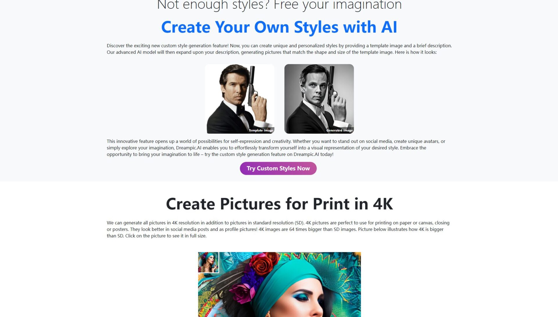 DreamPic.AI功能介绍