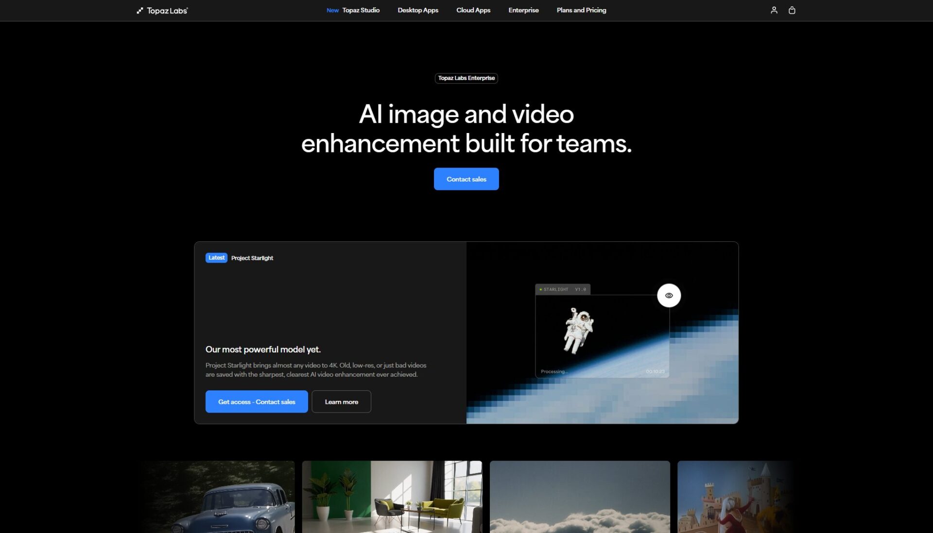 Topaz Labs企业服务