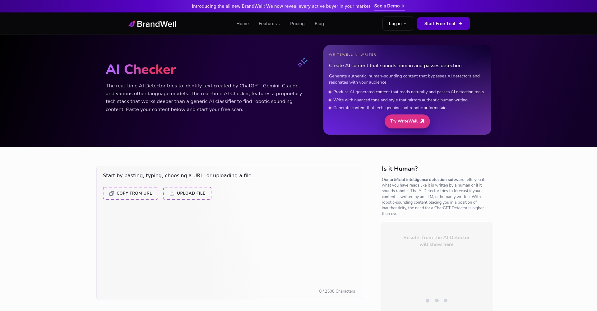 Content at Scale AI DetectorSEO文本检测