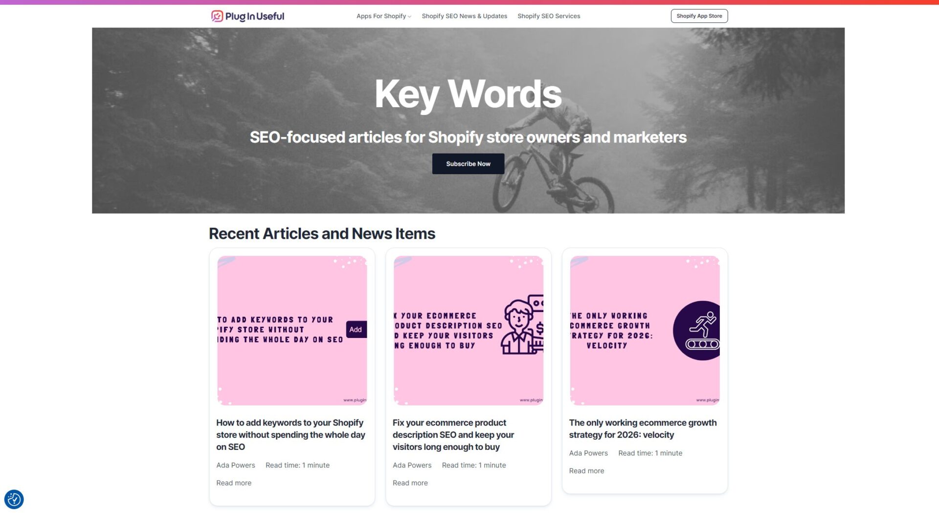 Plug In SEO博客介绍