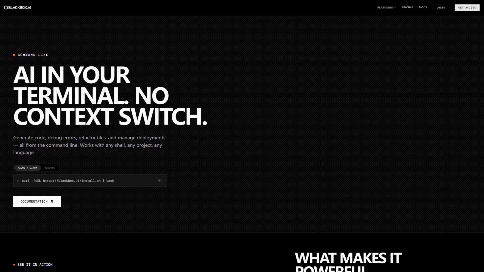 blackbox.ai功能介绍