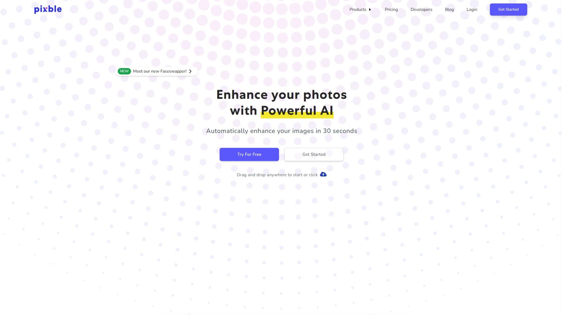 Pixble官网界面截图