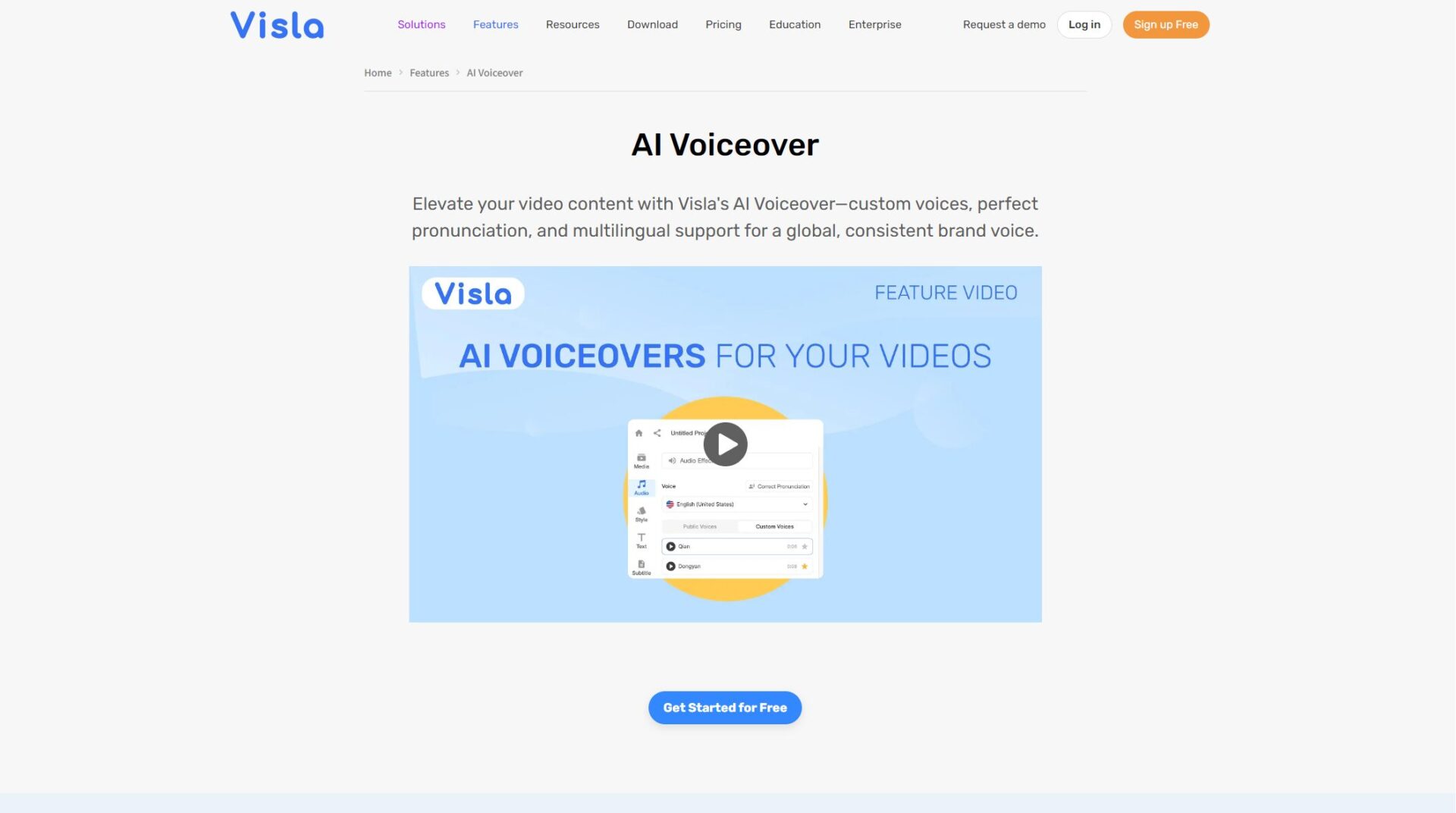 AI 配音字幕功能界面