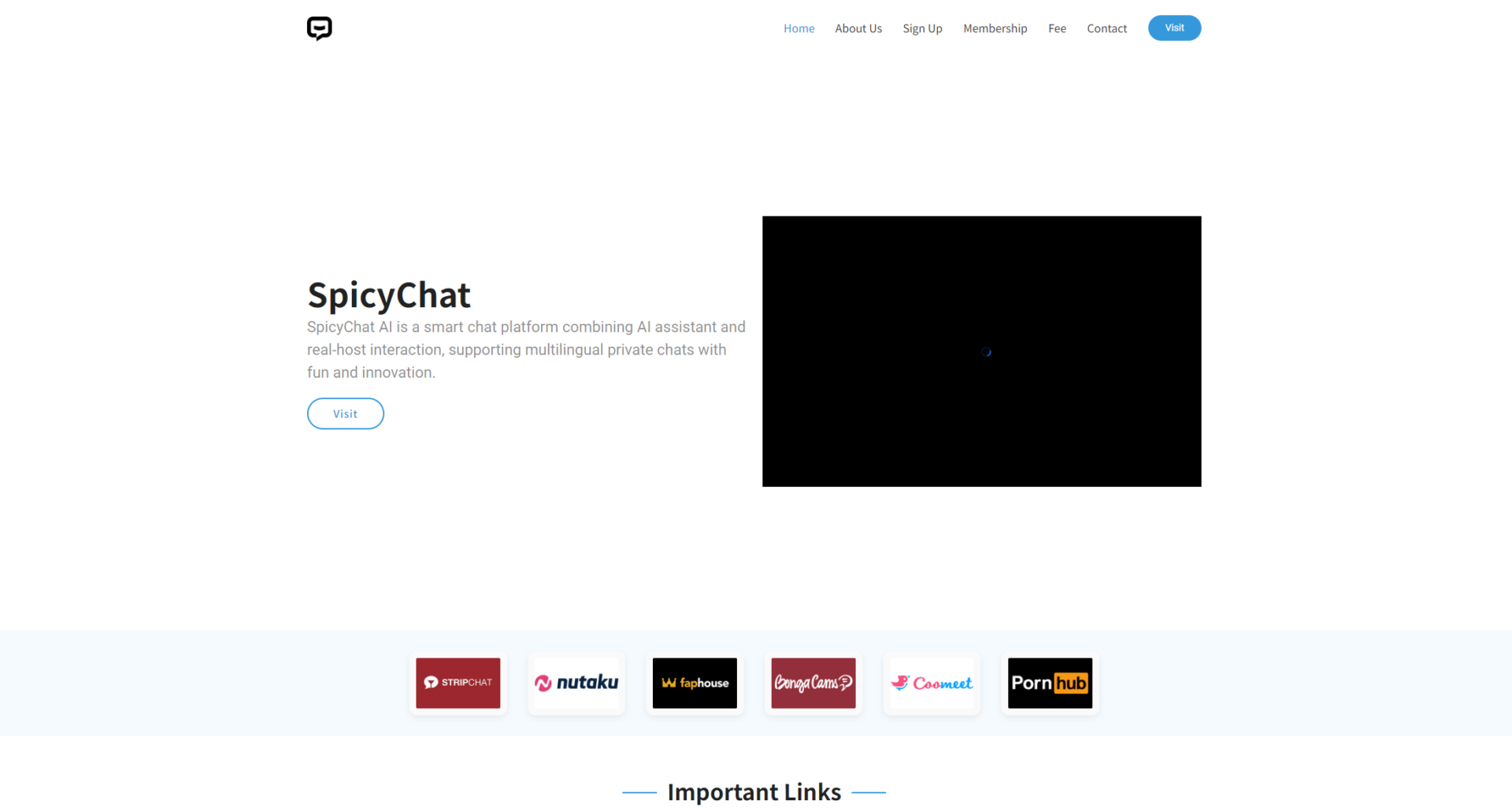 spicychat.ai官网页