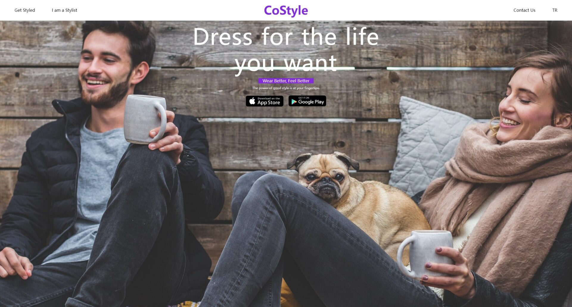 CoStyle官网截图