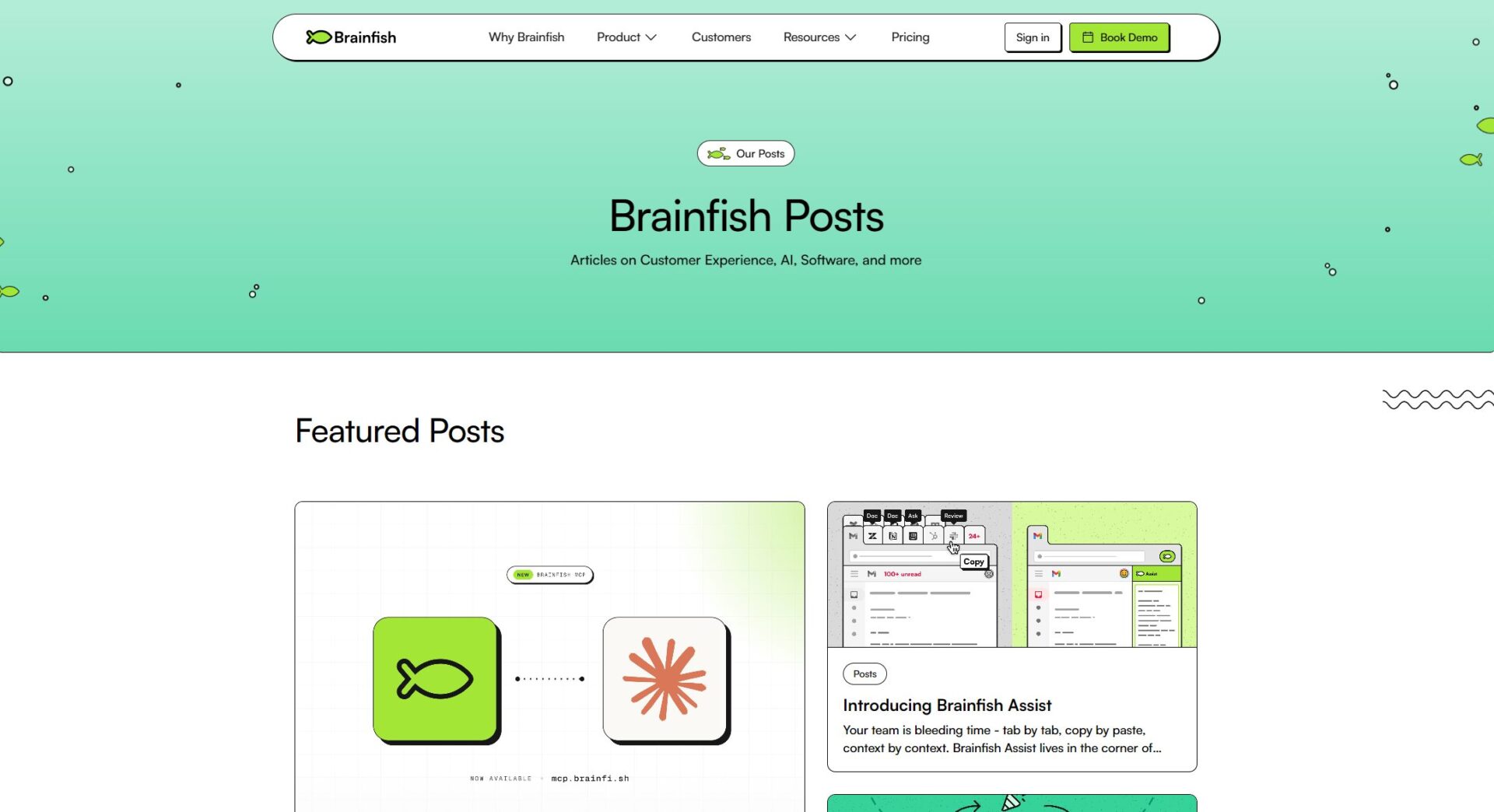 Brainfish博客介绍