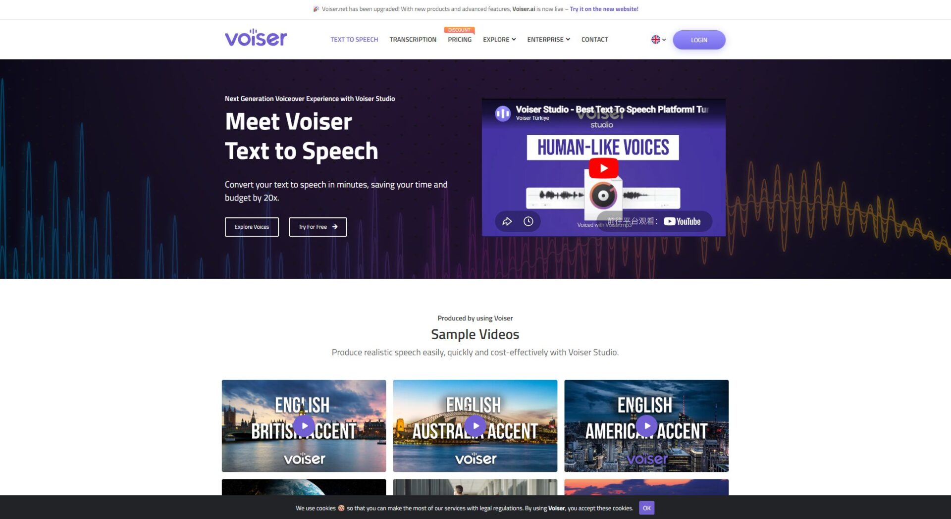 Voiser功能介绍