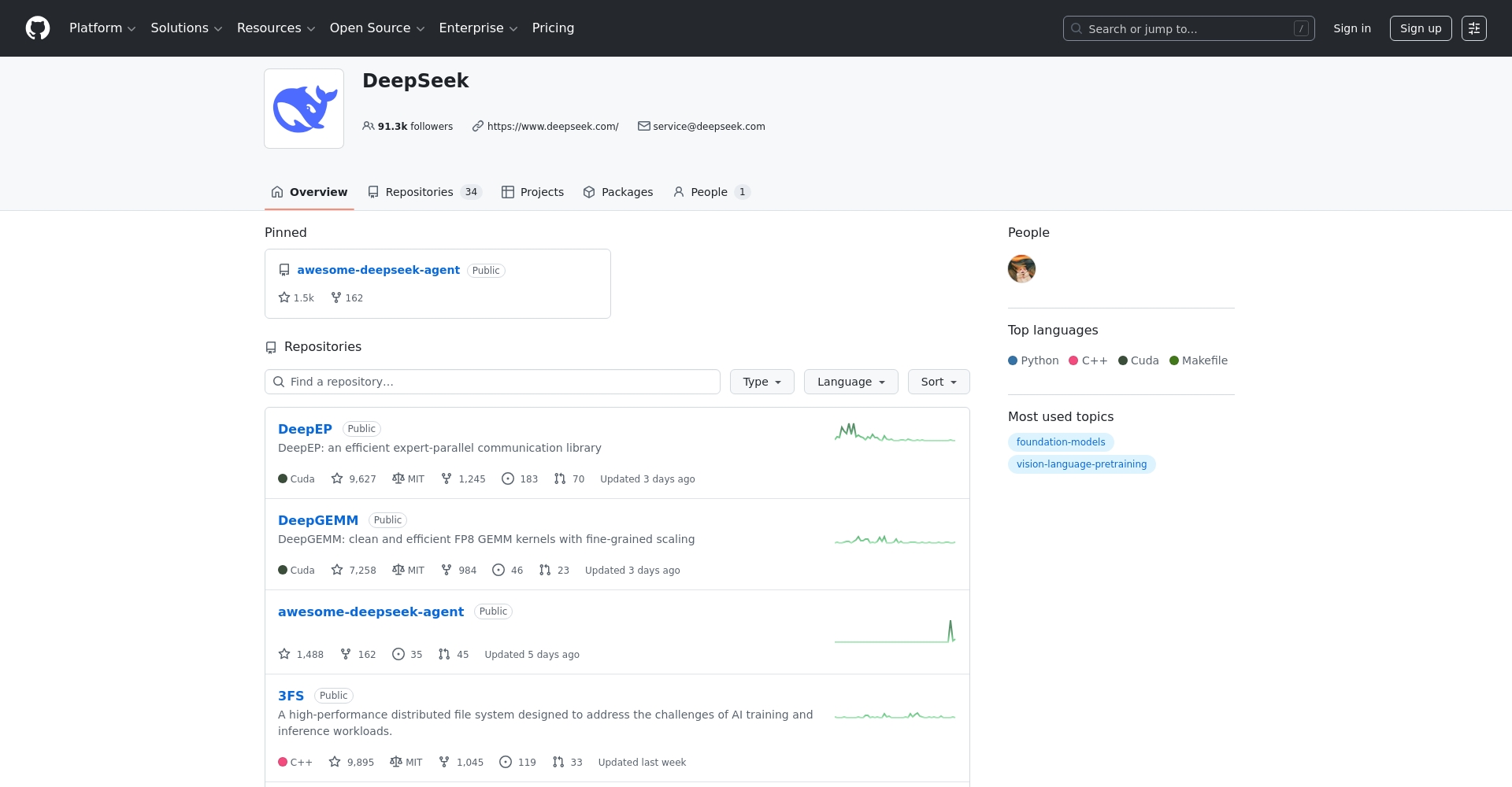DeepSeek AI项目主页截图